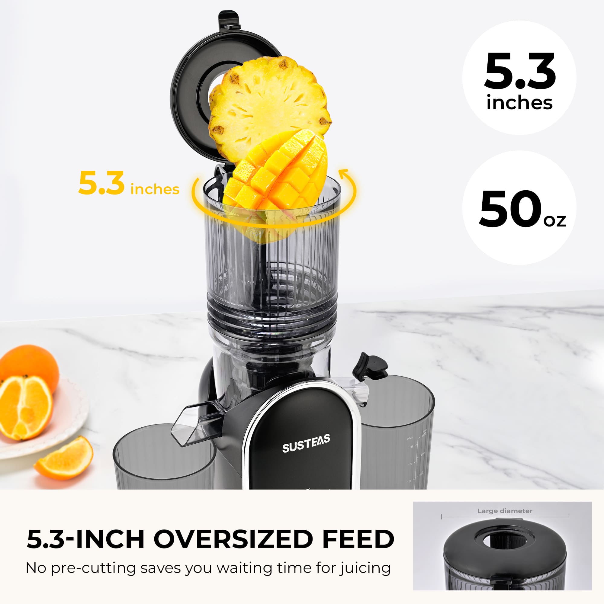 Cold Press Juicer and Electric Grill Cooking Bundle MP802K + 321