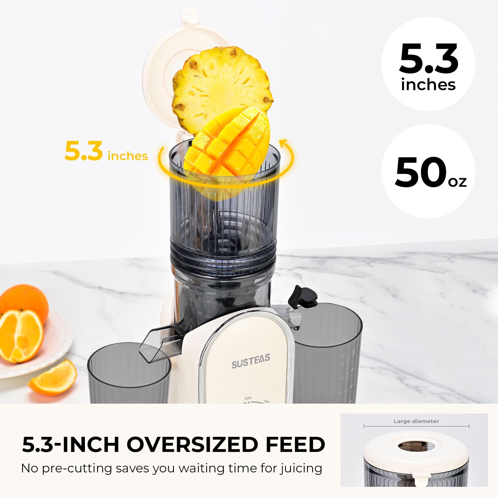 Rotary Cheese Grater and Cold Press Juicer Home Bundle LS-1070+MP802K