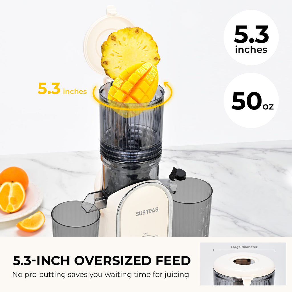 SUSTEAS Home Essentials: Fruit Juicer &  Ice Cream Machine for Home Use
