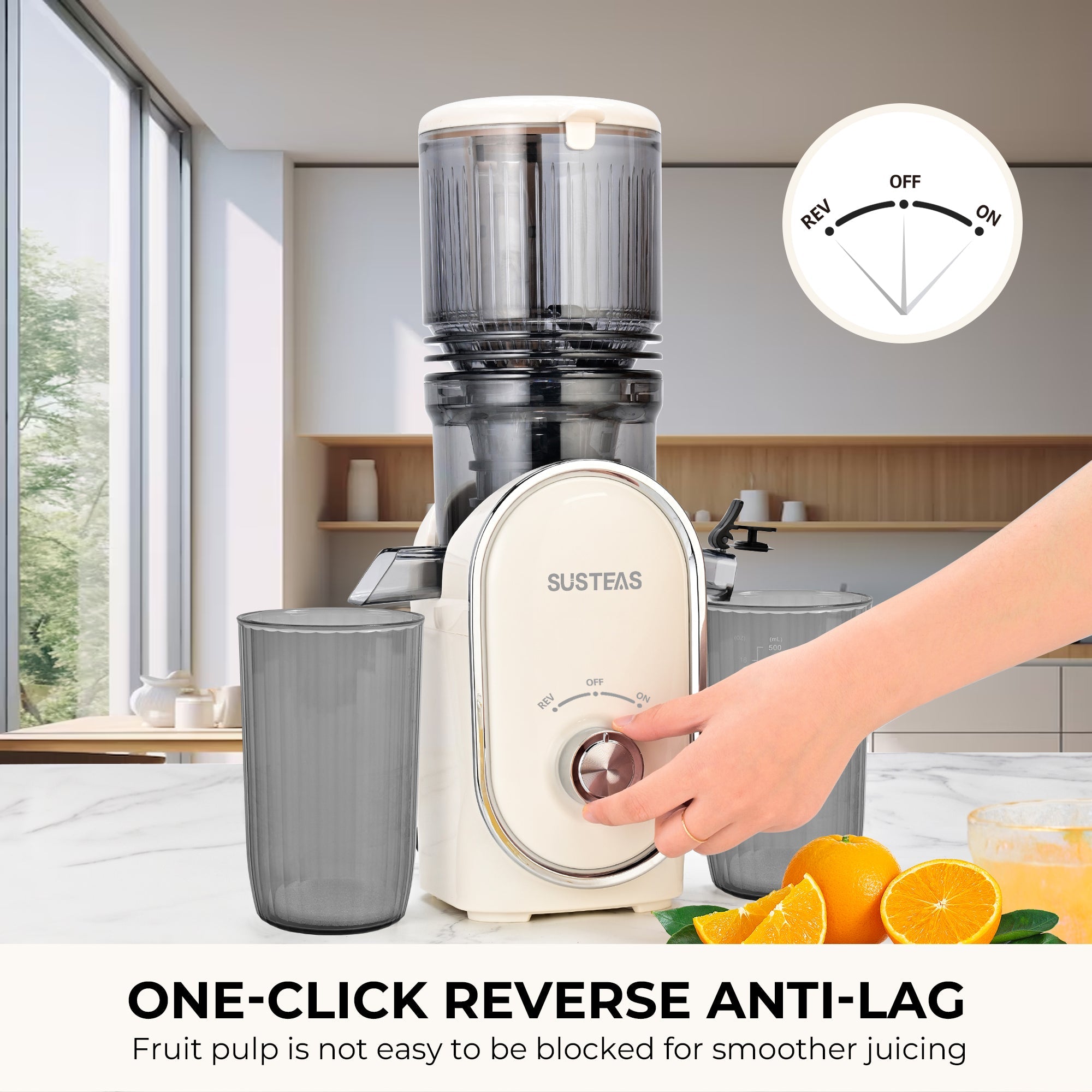 SUSTEAS Home Essentials: Fruit Juicer &  Ice Cream Machine for Home Use