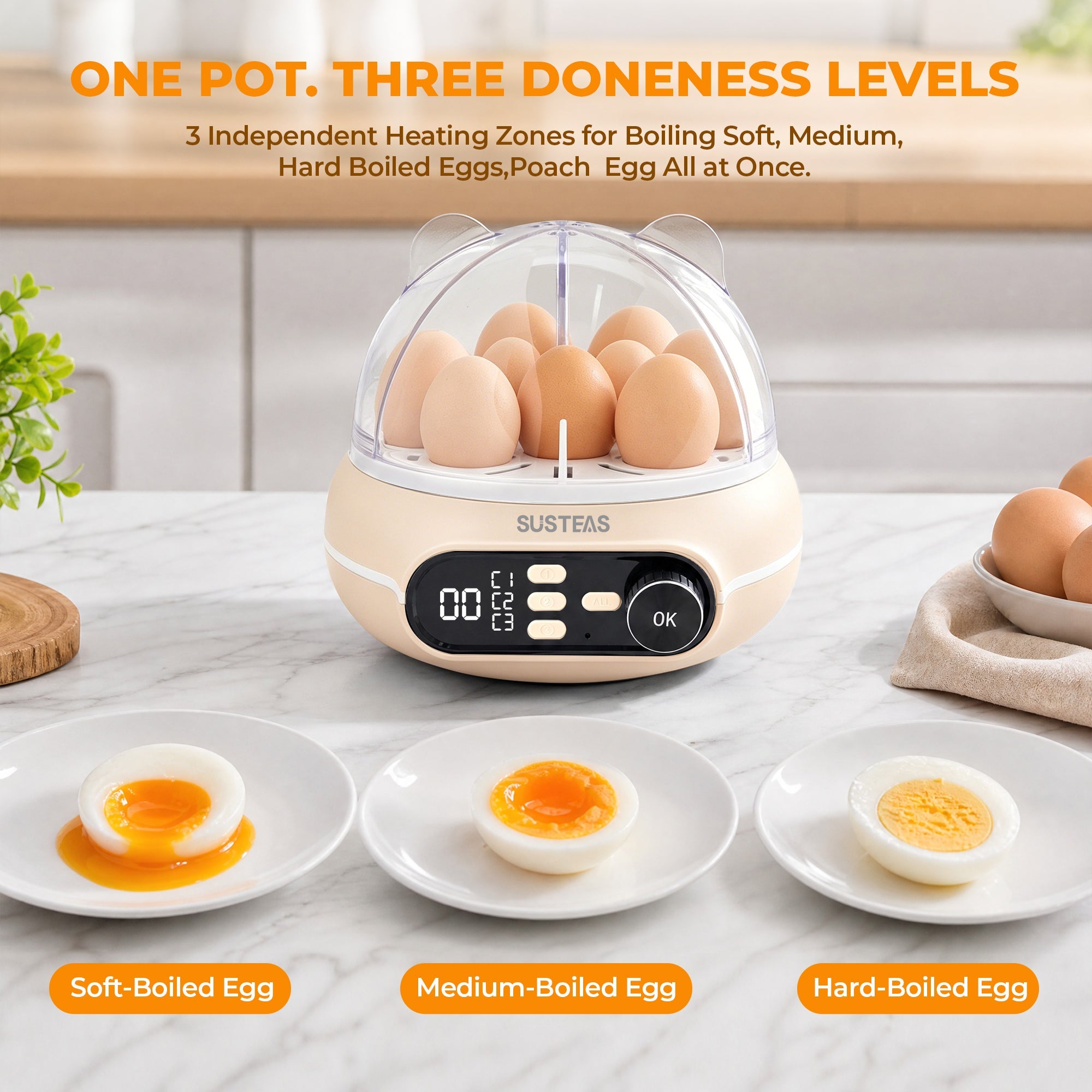 Rapid Egg Cooker 9 Eggs Capacity, Soft, Medium, Hard Boiled Egg Cooker ZD7000