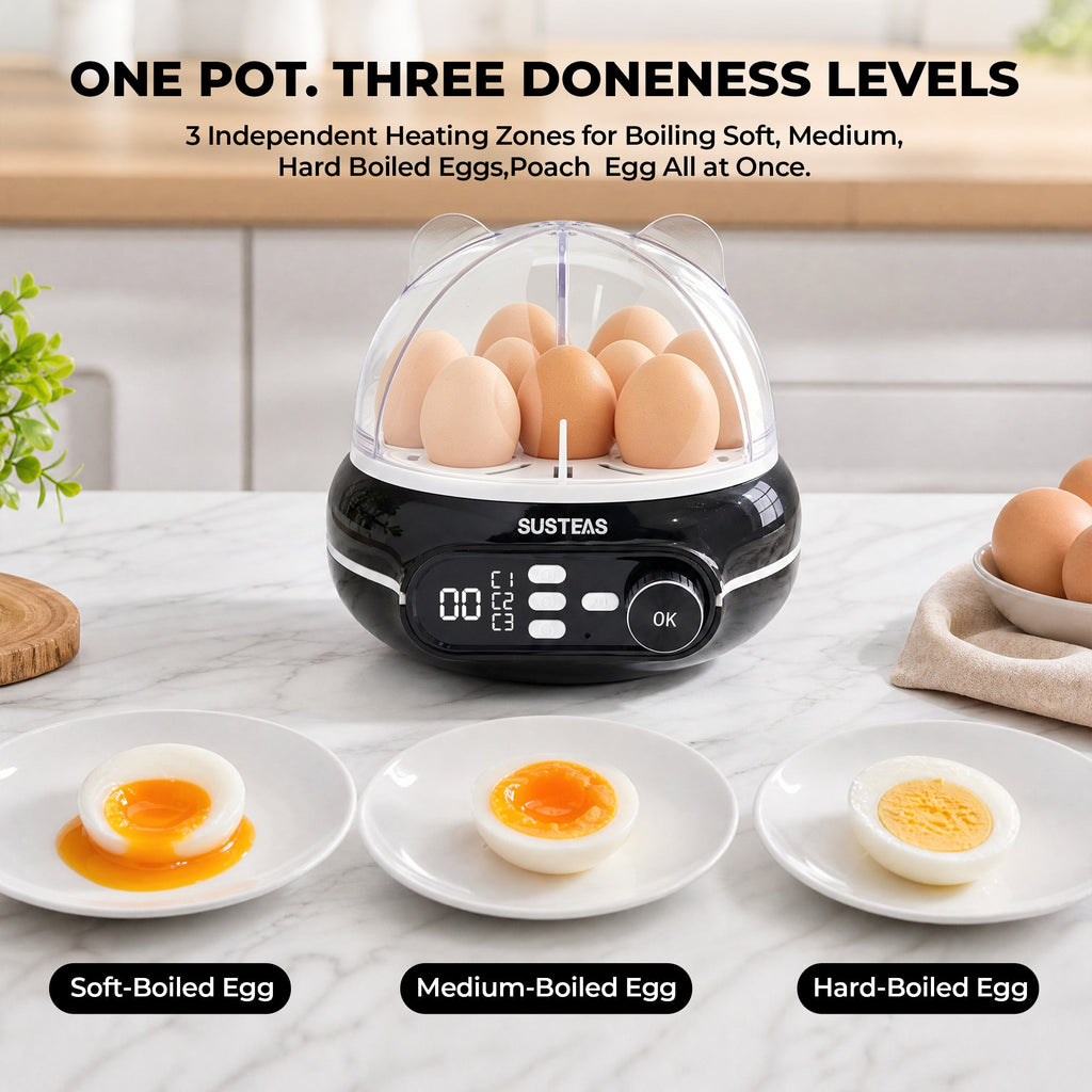 Rapid Egg Cooker 9 Eggs Capacity, Soft, Medium, Hard Boiled Egg Cooker ZD7000