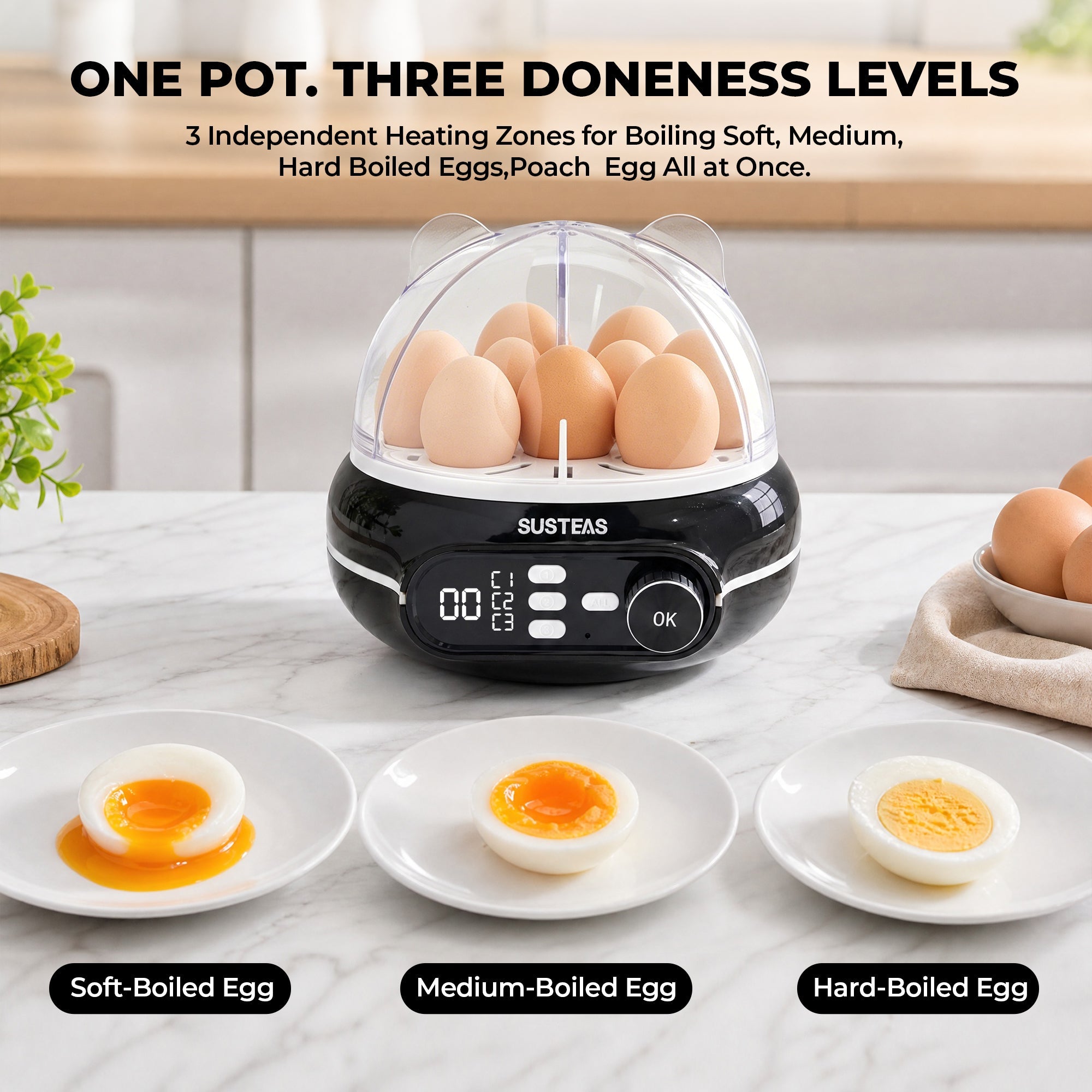 Rapid Egg Cooker 9 Eggs Capacity, Soft, Medium, Hard Boiled Egg Cooker ZD7000