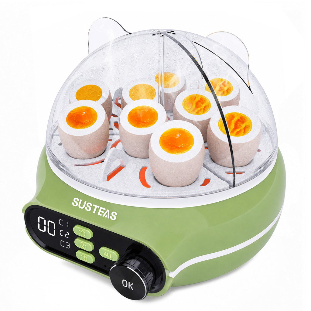 Rapid Egg Cooker 9 Eggs Capacity, Soft, Medium, Hard Boiled Egg Cooker ZD7000