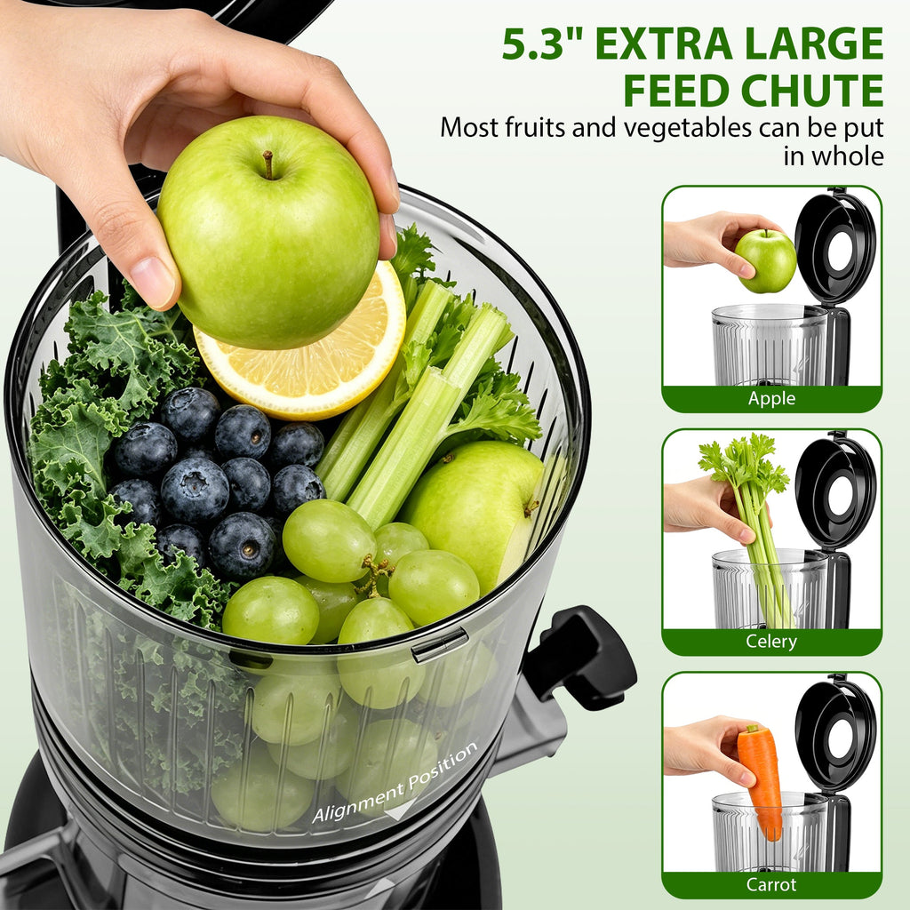Cold Press Juicer Slow Masticating for Orange Fruits Vegetables, 5.3 inch feed chute 802S