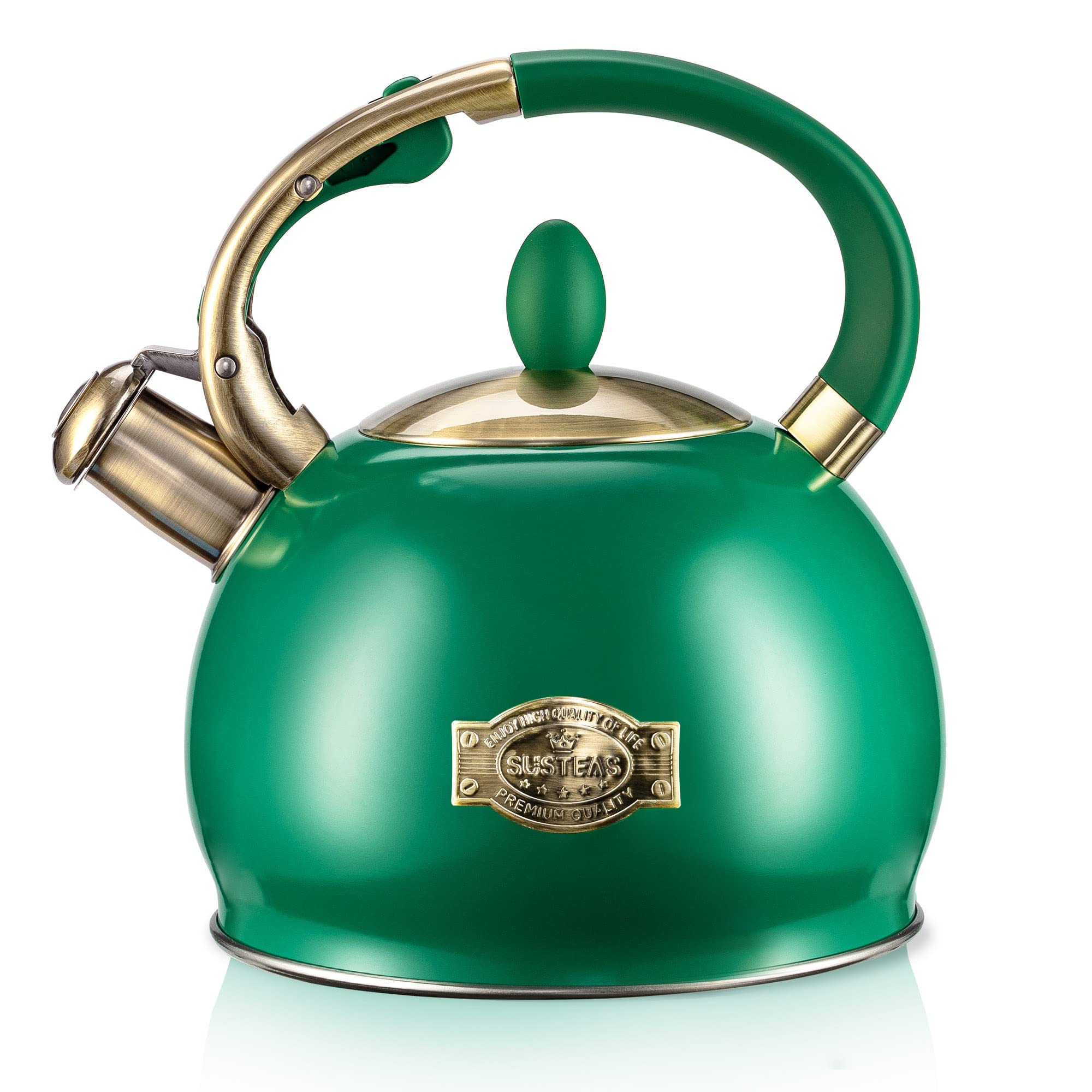 Stovetop Whistling Tea Kettle for Gas & Induction 2.64QT