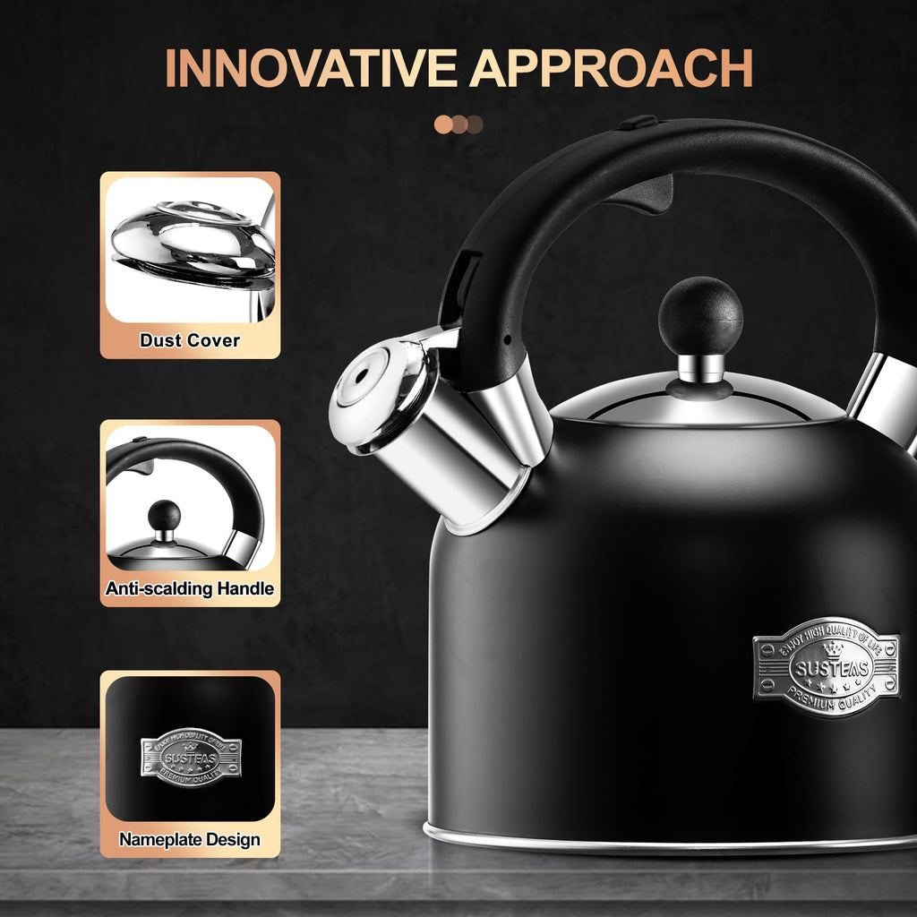 Stovetop Whistling Tea Kettle Stainless Fast Heating Gas Induction Fast Heating 3.17QT