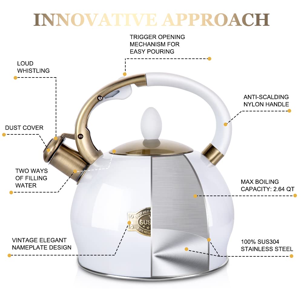 Stovetop Whistling Tea Kettle for Gas & Induction 2.64QT