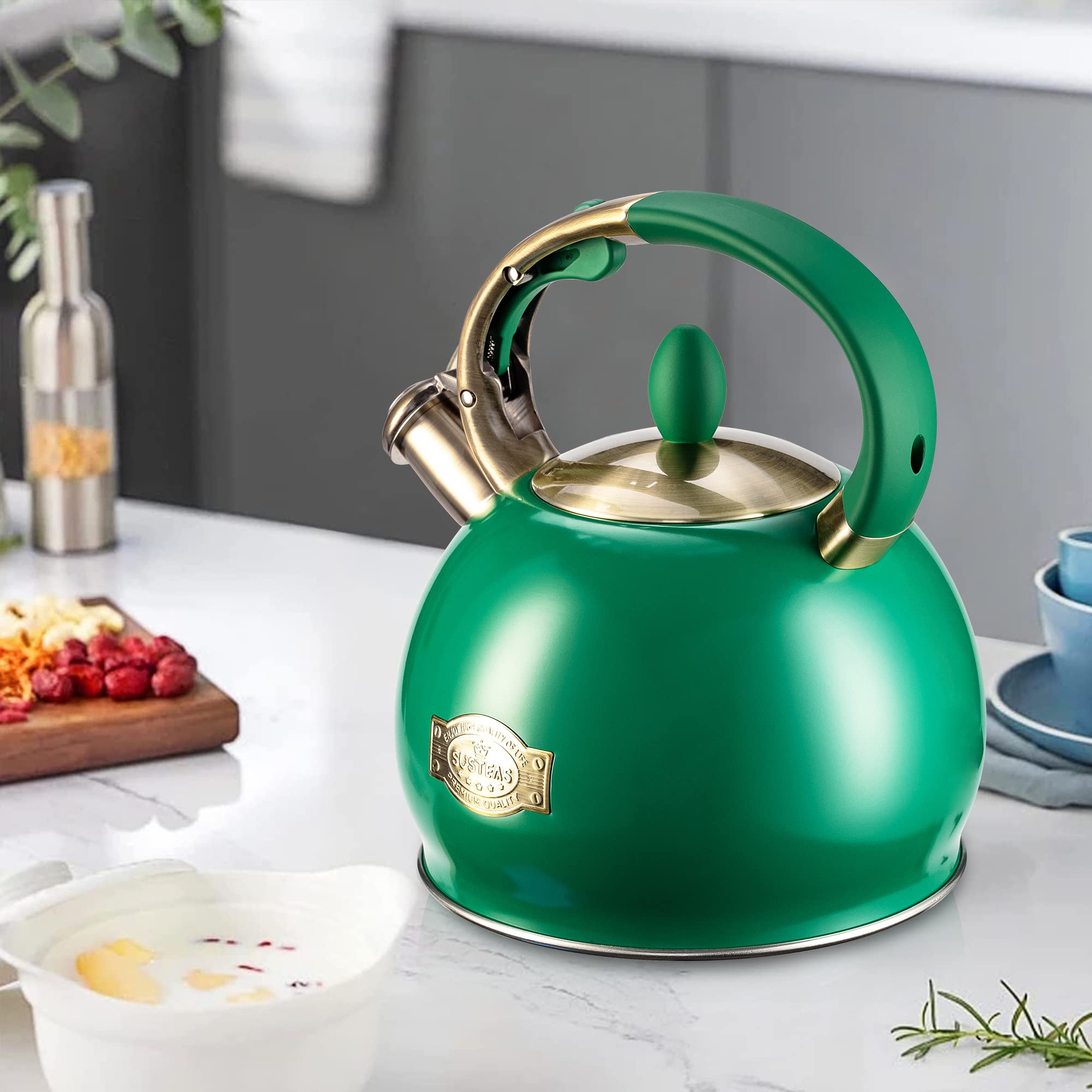 Stovetop Whistling Tea Kettle for Gas & Induction 2.64QT