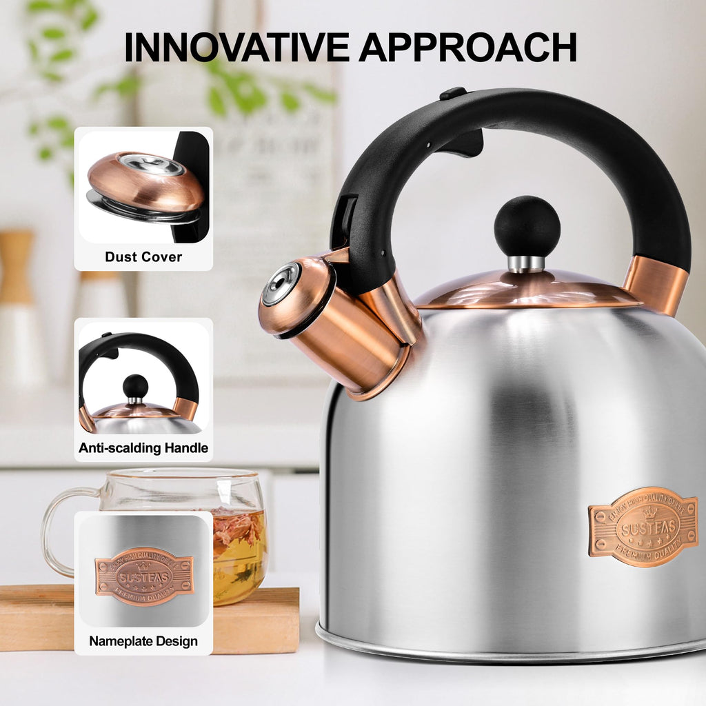 Stovetop Whistling Tea Kettle Stainless Fast Heating Gas Induction Fast Heating 3.17QT