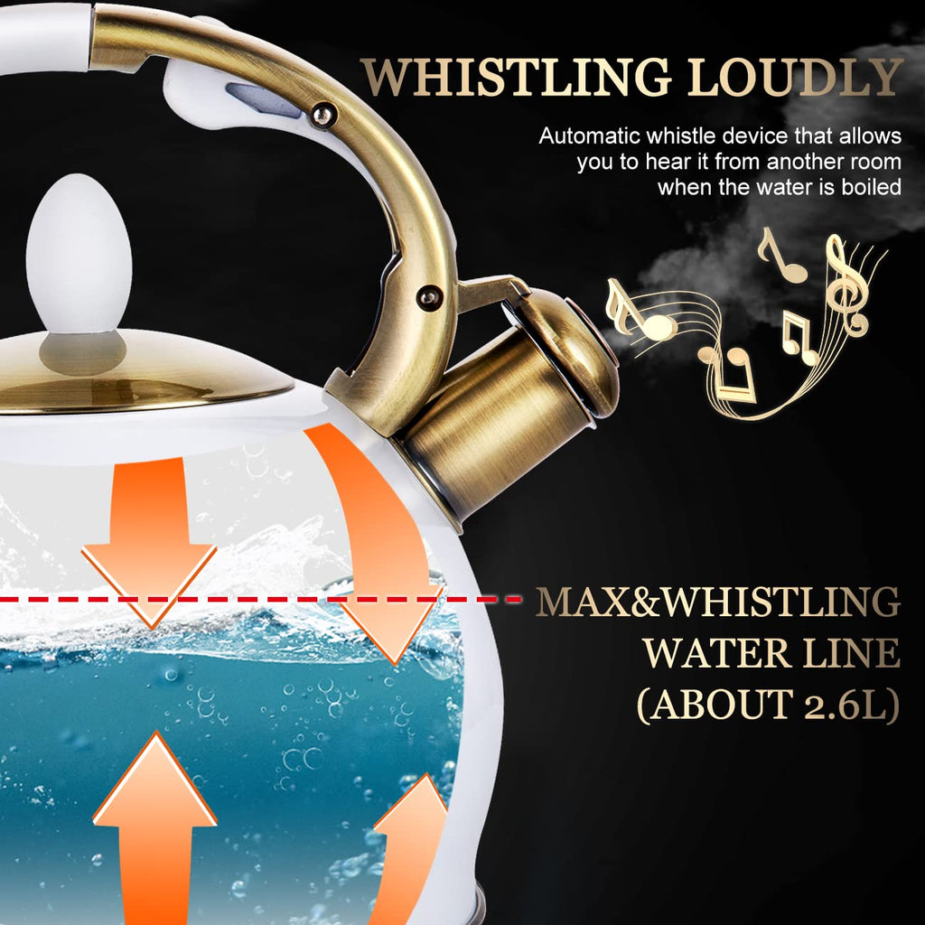 Stovetop Whistling Tea Kettle for Gas & Induction 2.64QT