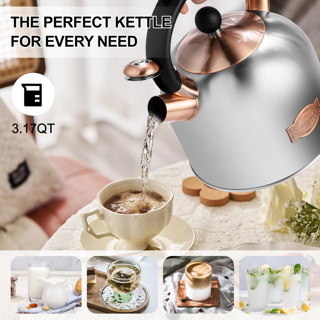 Stovetop Whistling Tea Kettle Stainless Fast Heating Gas Induction Fast Heating 3.17QT