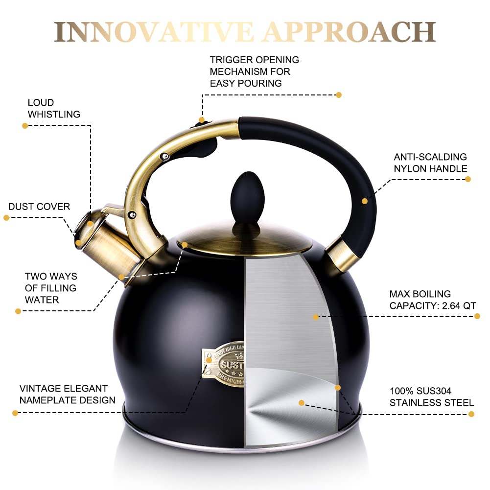 Stovetop Whistling Tea Kettle for Gas & Induction 2.64QT