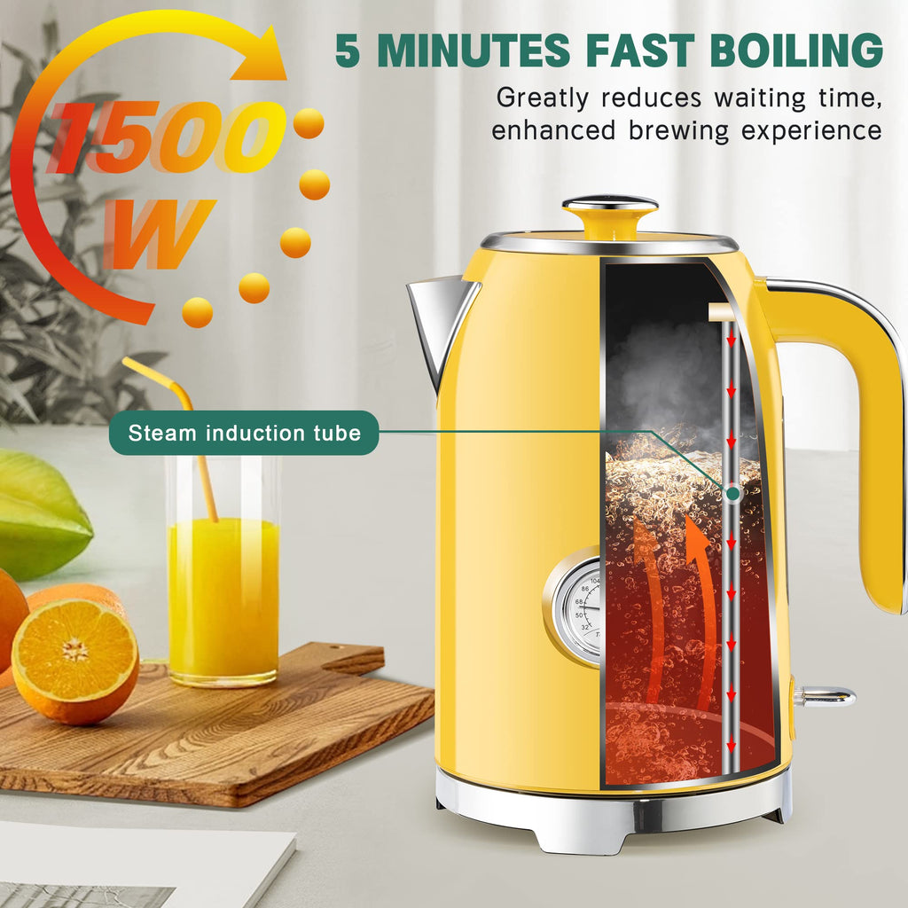 Electric Kettle Fast Boiling 1.7L Stainless Steel Auto Shut Off for Home KE1309BT