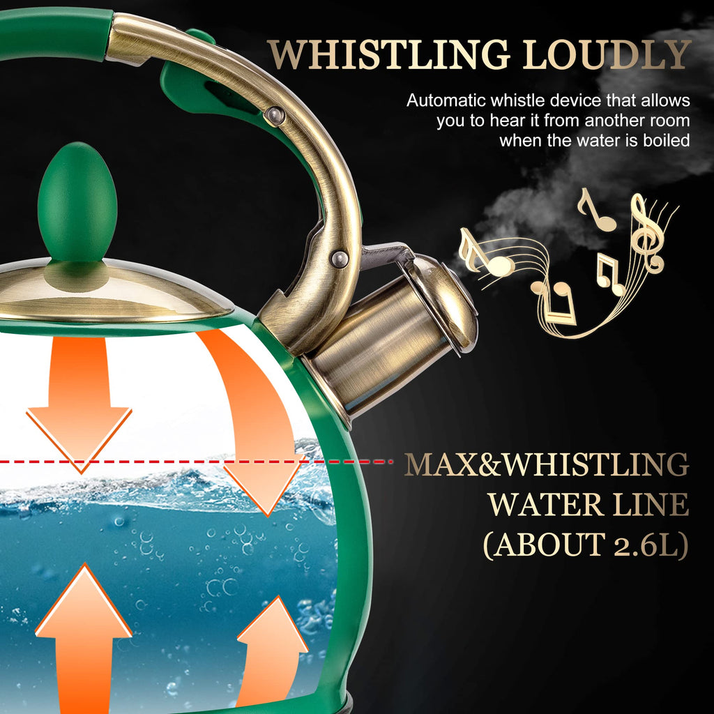 Stovetop Whistling Tea Kettle for Gas & Induction 2.64QT