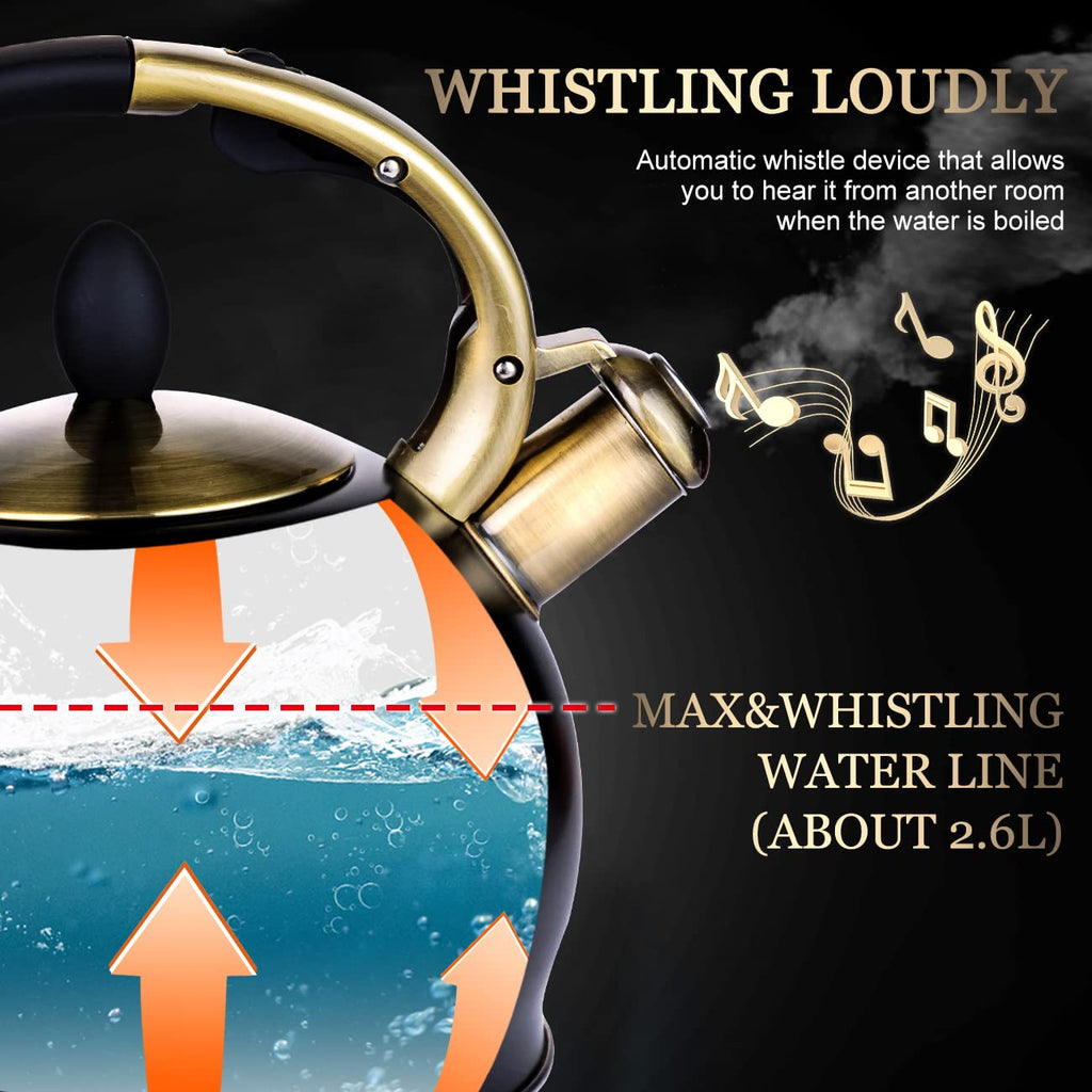 Stovetop Whistling Tea Kettle for Gas & Induction 2.64QT
