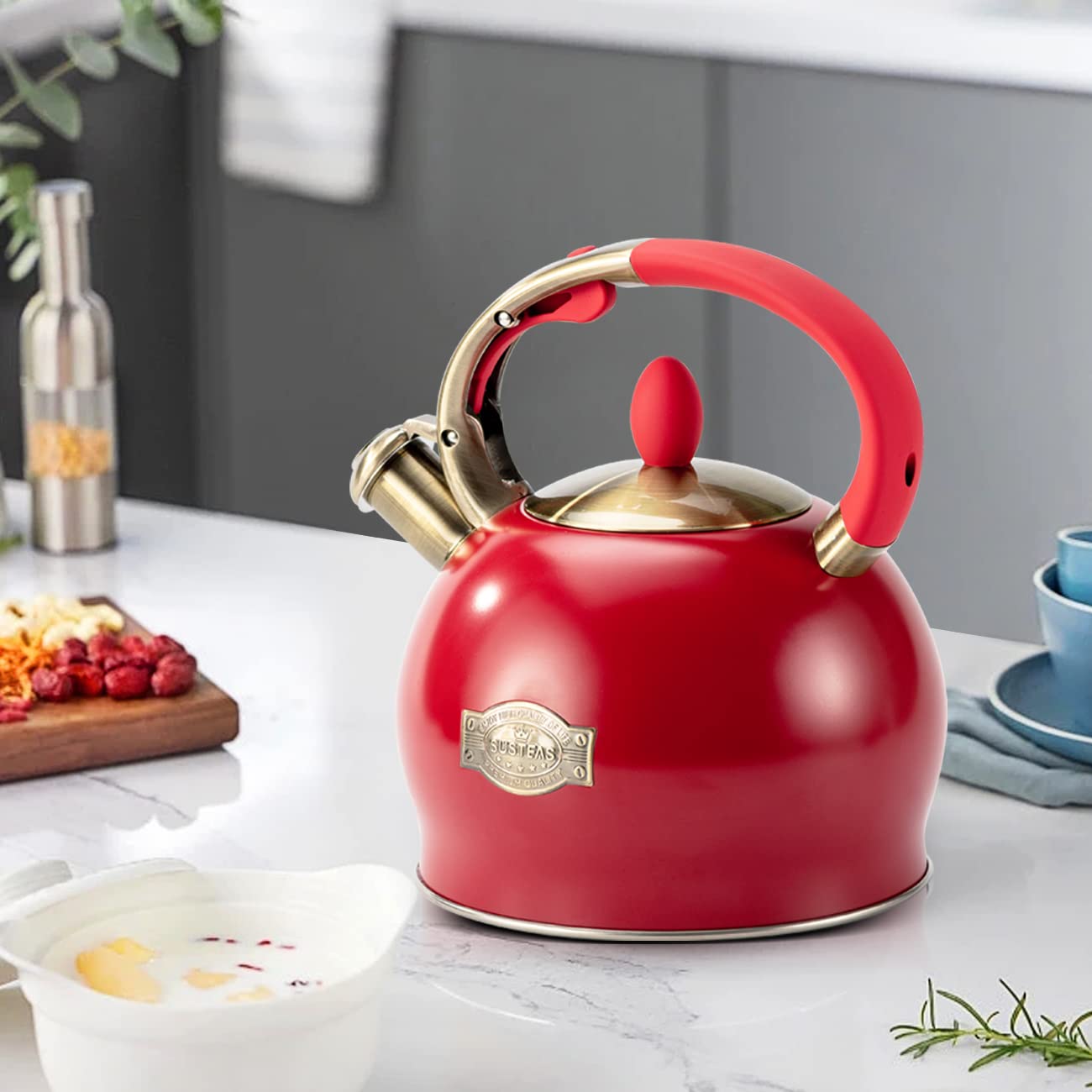 Stovetop Whistling Tea Kettle for Gas & Induction 2.64QT