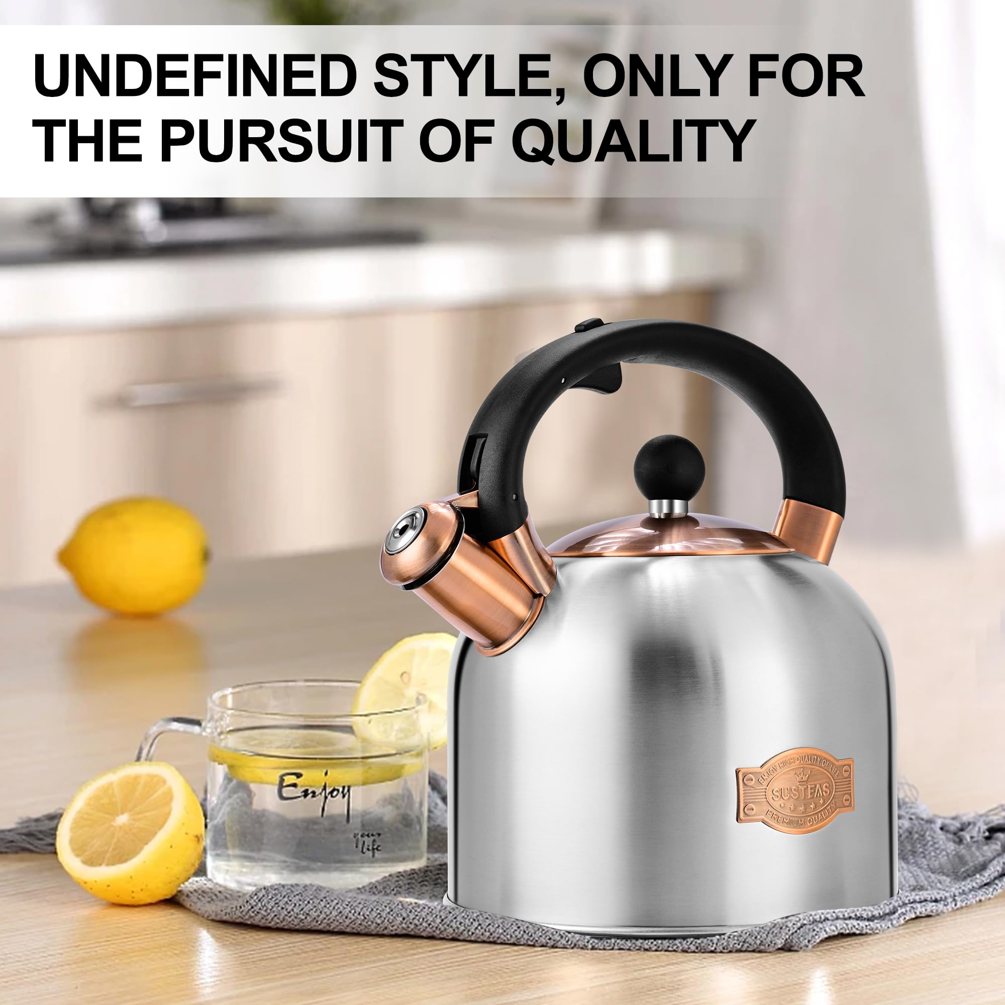 Stovetop Whistling Tea Kettle Stainless Fast Heating Gas Induction Fast Heating 3.17QT