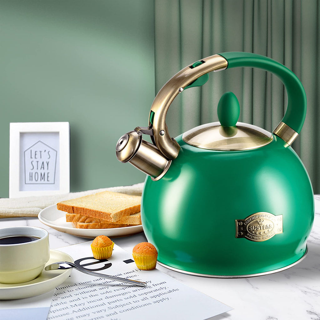 Stovetop Whistling Tea Kettle for Gas & Induction 2.64QT